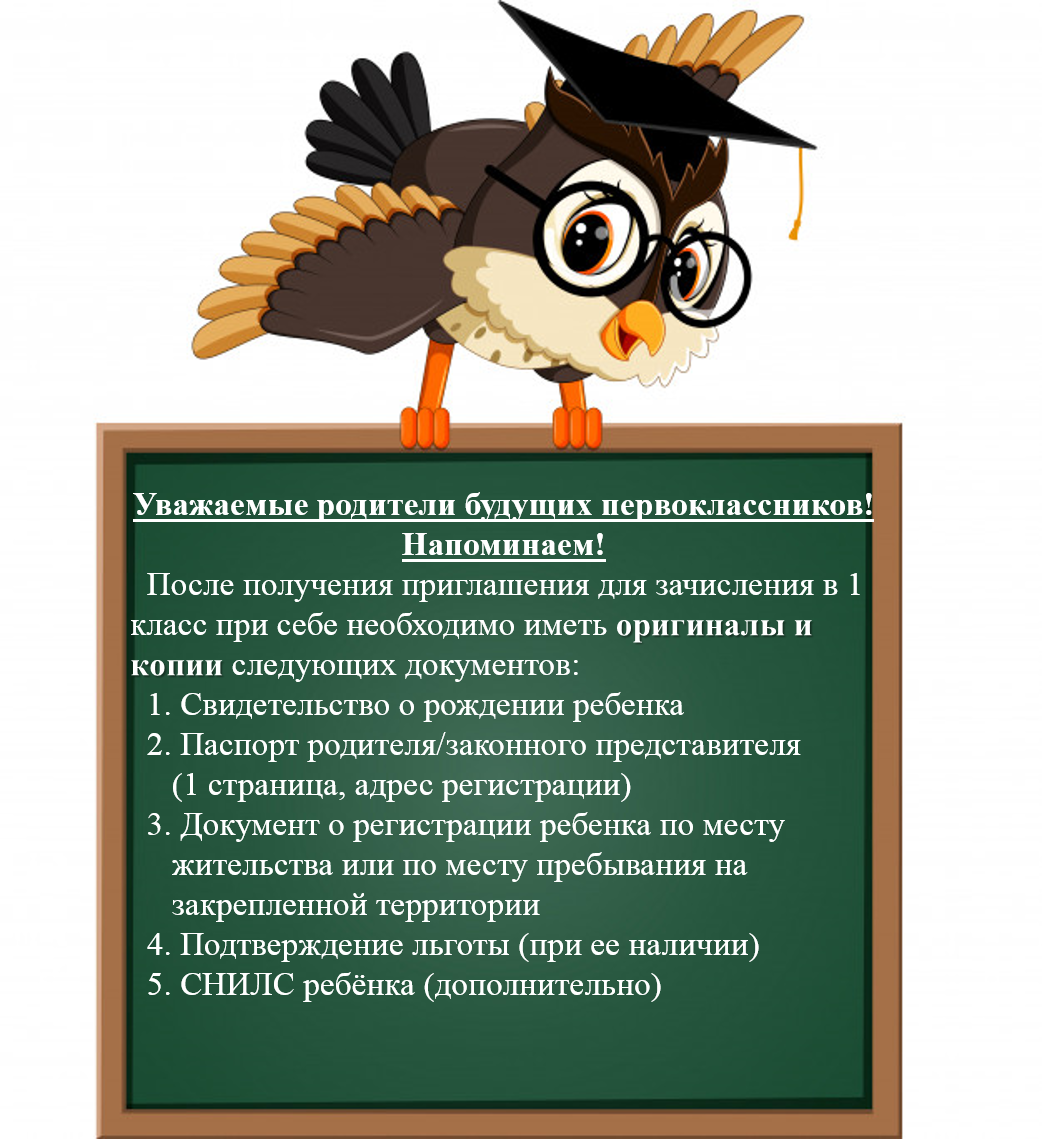 Сова угадай книгу. Школьная доска с совой. Сова с доской. Умный Совенок с доской. Ученая Сова с доской.